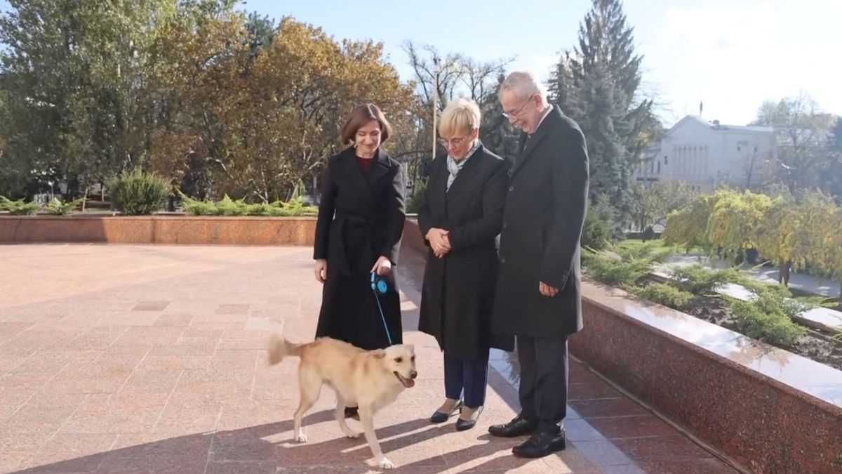 Rakouského prezidenta na návštěvě Moldavska pokousal pes
